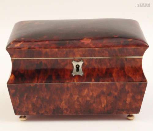 ANTIQUE ENGLISH EXOTIC SHELL TEA CADDY