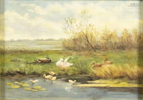 Tableaux - École néerlandaise : canards au bord de l'eau...