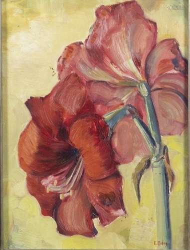 Tableaux - École néerlandaise, Amaryllis, huile sur carton, ...