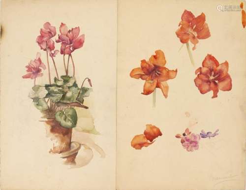 Henk Meeuwissen (1920-1994), deux études de fleurs, aquarell...