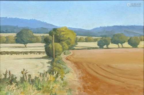 Vita Gollancz (1926-2009), Fields Near Wigmore I, oil