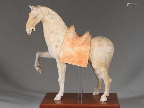 Original Tang Dynasty Prancing Horse, c. 680 AD