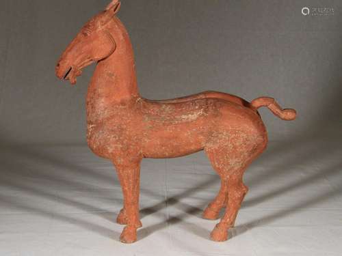 Chinese Standing Western Han Pigmented Horse, c. 150 BC