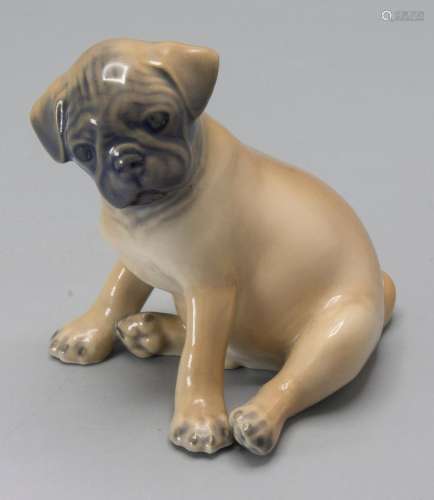 Mops Welpe / A pug puppy, Theodor Madsen, Royal Copenhagen, ...