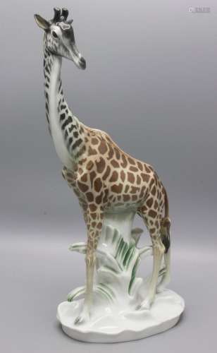 Große und sehr seltene Tierfigur 'Giraffe' / A lar...
