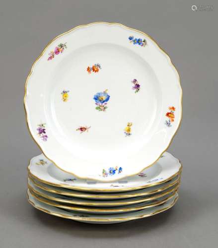 Six plates, Meissen, Knauff-Sc