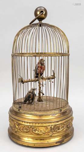 Large songbird automaton, prob