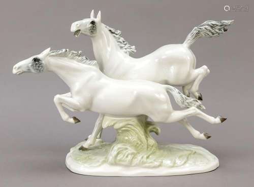 Galloping pair of white horses