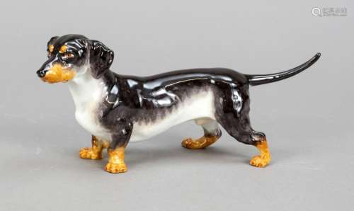 Standing dachshund, Meissen, a