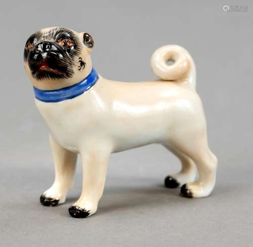 Miniature pug, Meissen about 1