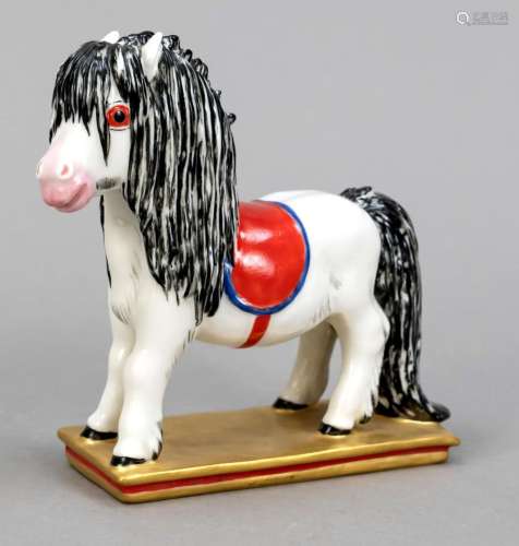 Shetland pony with saddle, Nym