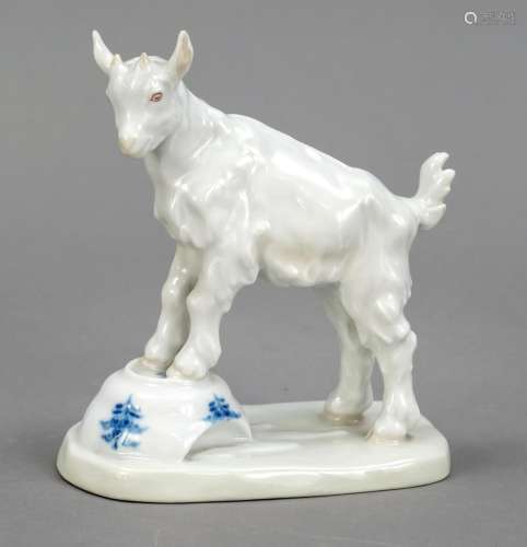 Little goat on a bowl, Meissen