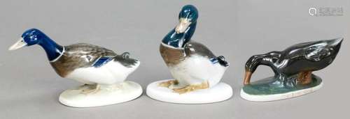 Three ducks, Rosenthal, 20th c