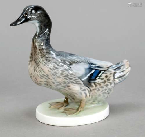 Duck, Rosenthal, Selb, 1920s,