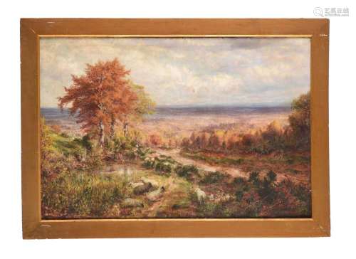 George William Mote (British 1832-1909), Landscape with shee...