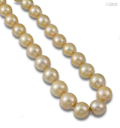 South Sea pearl necklace, golden, tapered,