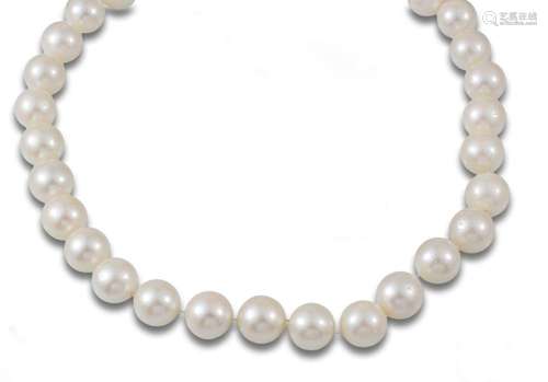 31 South Australian South Sea pearls.