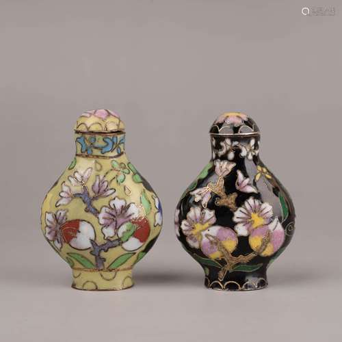 Two Cloisonné Enamel Snuff Bottles