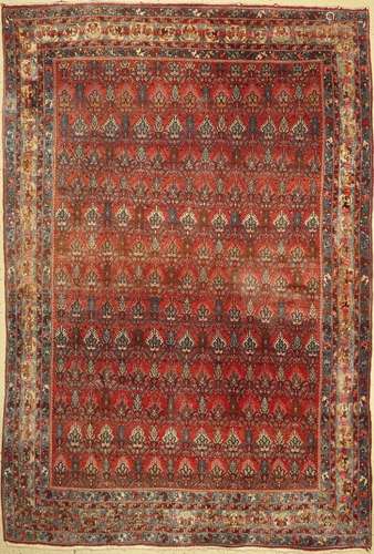 Bidjar old, Persia, around 1960, wool on cotton