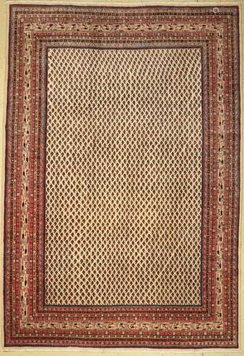 Saruk Mir, Persia, approx. 50 years, wool on cotton