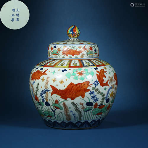 Ming Dynasty,Multicolored Algae Pattern Jar