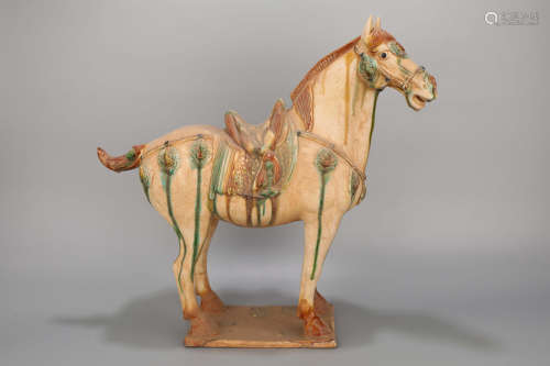 A Tang Three Colored Pottery Horse