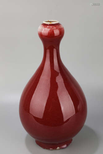 A Red Glazed Porcelain Garlic Bottle