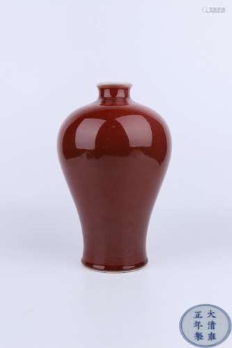 Yongzheng Period Red Glaze Porcelain Prunus Bottle, China