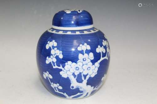 Chinese Blue and White Porcelain Jar