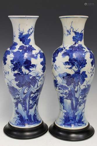 A Pair of Chinese Blue and White Porcelain Vases