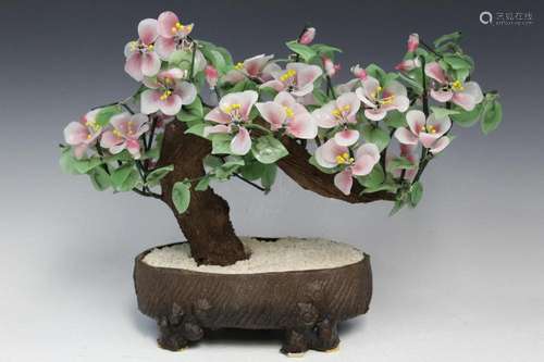 Chinese Bonsai Tree