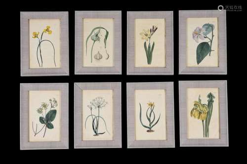 A set of twenty-four hand-coloured botanical book plates for...