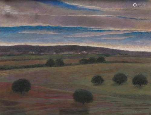 ESPERANZA NUERE (1935 / .) "Landscape", 1994