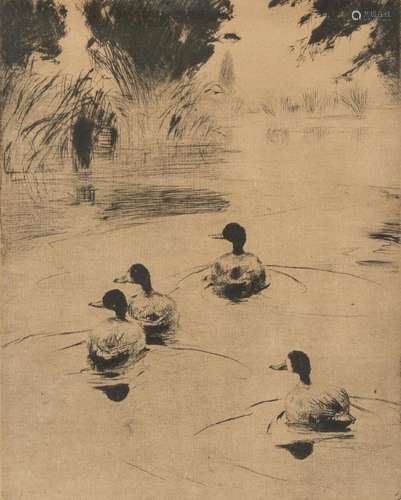 Frank Weston Benson (American, 1862-1951) "Broadbills&q...