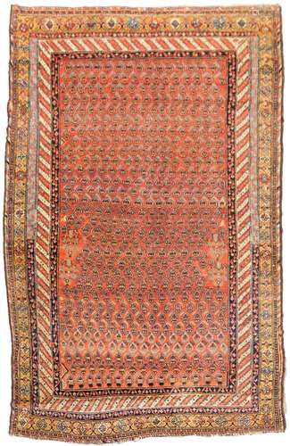 Caucasian Oriental Rug