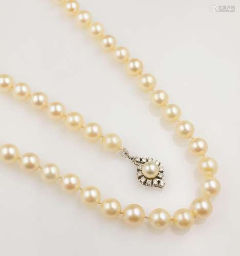 Fine necklace made of cultured akoya pearls with brilliants