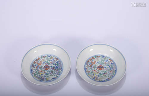 A pair of Dou cai 'floral' dish,Qing Dynasty