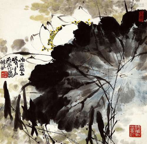 韩敏（b.1929） 1976年作 荷花 画心 设色纸本