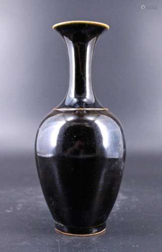 Qing Porcelain Black Glaze Vase