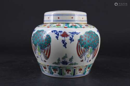 Chinese Ming Porcelain DouCai Jar with Lid