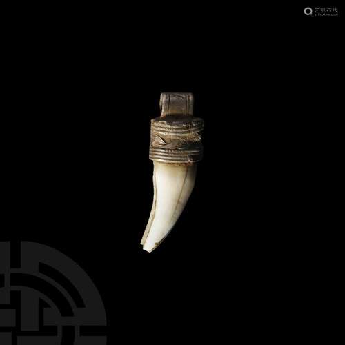 Viking Age Silver Wolf's Fang Pendant