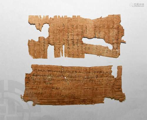 Egyptian Papyrus Page Section Collection