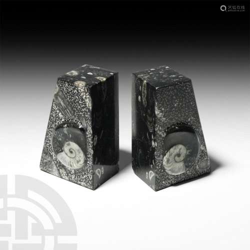 Polished Fossil Goniatite Book Ends