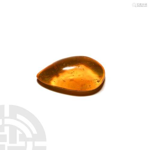 Insect in Baltic Amber