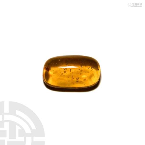 Insect in Baltic Amber