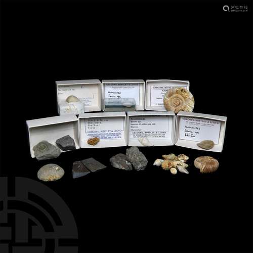 Historic Fossil Collection