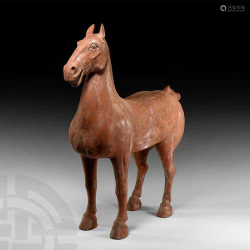 Very Large Chinese Han Horse Figurine