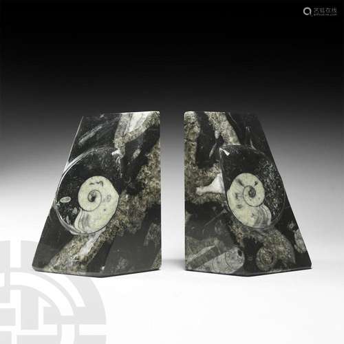 Fossil Goniatite Bookends