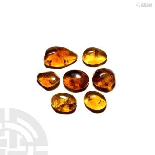 Insects in Baltic Amber Group