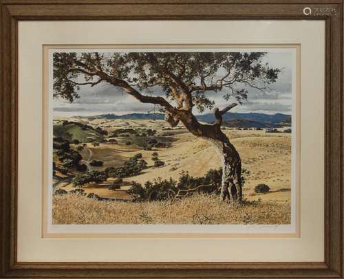 Framed Print Tree On Hillside M Connery 24/100